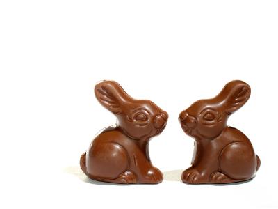 chocolate rabbit